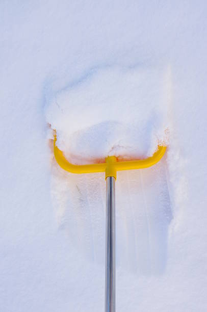 Yellow snow shovel is stuck in the snow. The snow is white and fluffy. The shovel is bent at the top, and the handle is yellow. Concept of winter and the need to clear snow