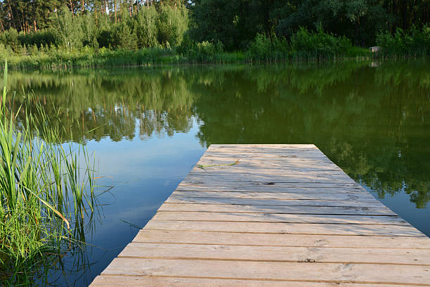 istock Wooden Dock Overlooking a Tranquil Lake with Lush Greenery copy space 2227211563