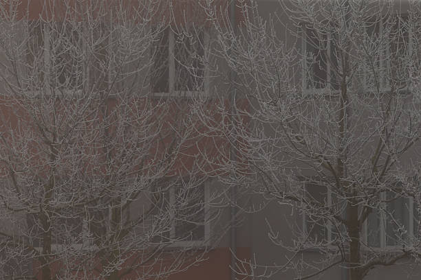 istock A large building featuring numerous windows and trees located in front of it 2227214291