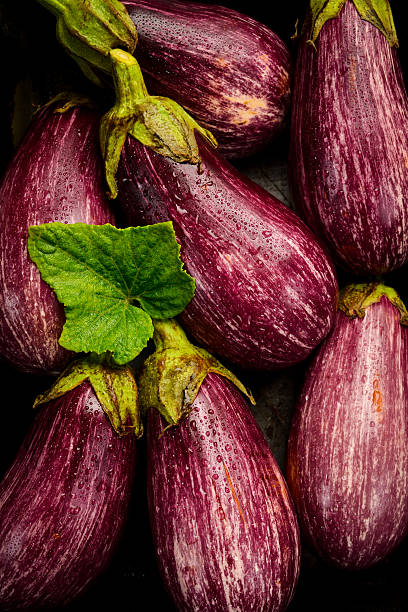 istock Eggplant background. Freshly picked purple eggplants close-up. Top view. 2227214961