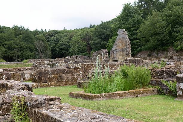istock the ruins of an old stone structure surrounded by green grass and trees 2227215613