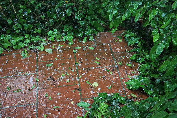 Hailstorm in the garden. Close-up of many hailstones on a terrace on summer