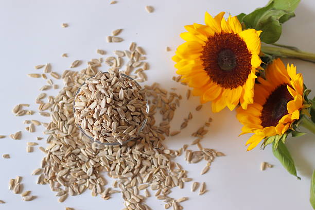 istock A glass brimming with sunflower seeds sits on a clean white surface, surrounded by scattered seed 2227216921