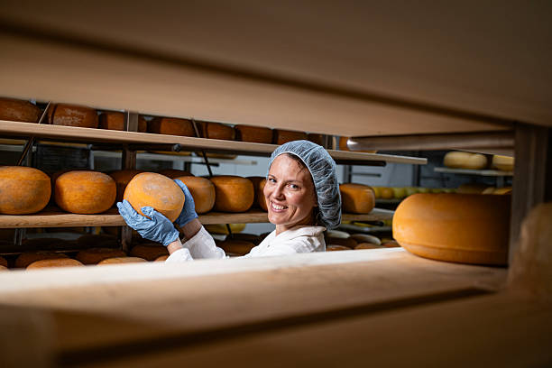 istock Working in high quality cheesemaking factory. 2227218307