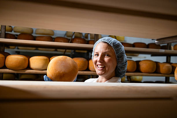 istock Traditional way of making high quality aging cheese wheels. 2227218322