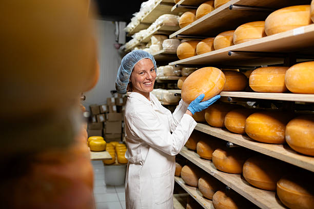 istock Making delicious cheese wheels out of high-quality milk. 2227218366