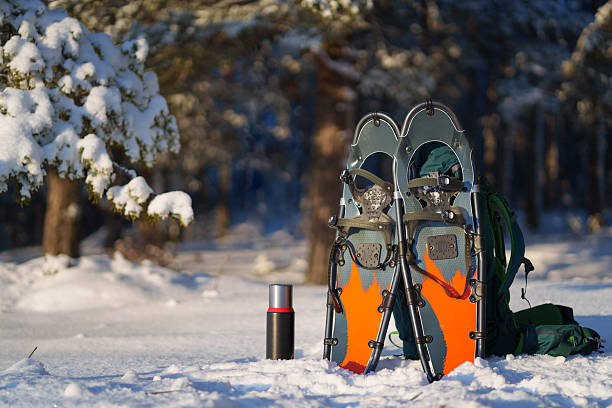 Orange snowshoes, backpack and thermos with winter forest.