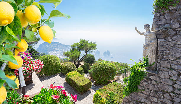 istock Capri island, Italy 2227230517