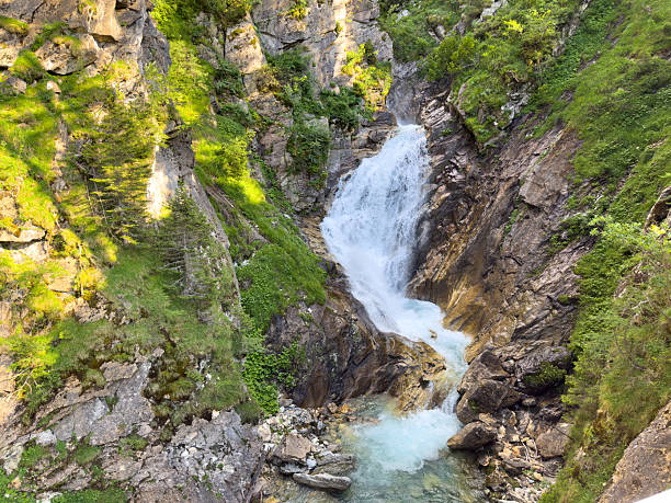Waterfall in the Swiss Alps flows in the forest