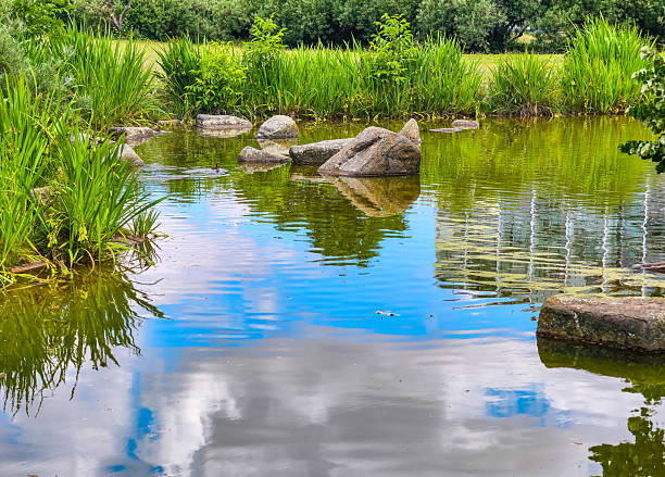 istock Tranquil Reflections on a Serene Pond Surrounded by Lush Greenery. High-Resolution Nature Background Perfect for Wallpapers, Marketing, and Creative Digital Projects 2227233891
