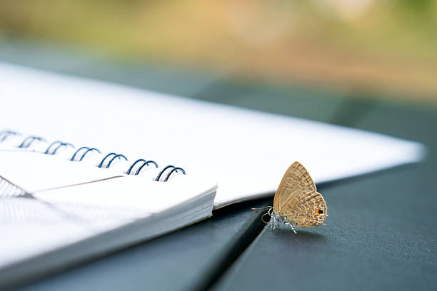 A serene moment of quiet reflection as a delicate butterfly gently rests on an open notebook, evoking inspiration and peaceful stillness.