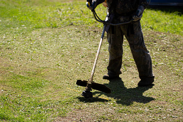 istock A trimmer for cutting grass and lawns on uneven surfaces. 2227235796