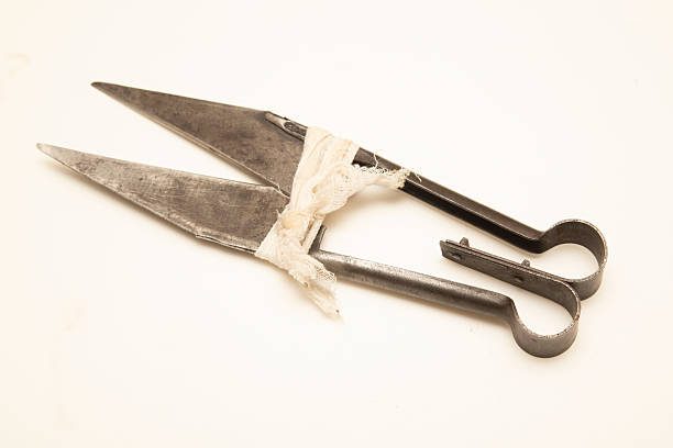 istock Old 19th-century shearing shears. Shearing tool for sheep. 2227236556
