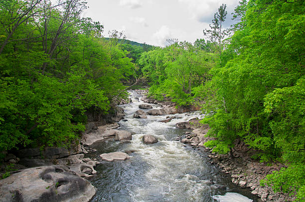 the housatonic river at bulls bridge in Kent Connecticut on a sunny summer day.