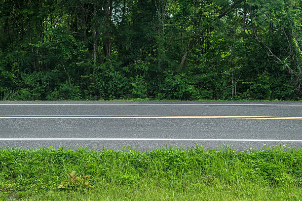 Side view of asphalt road in the forest. Road background.