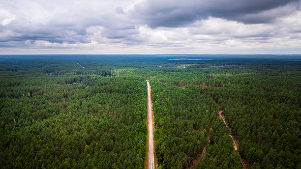 istock Dzukija National Park, Lithuania 2227238078