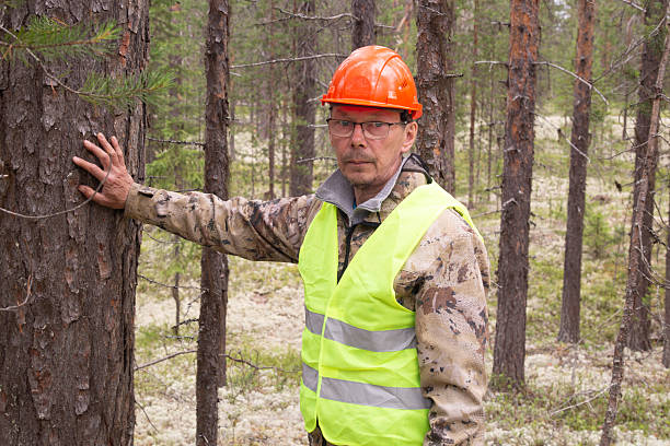 istock A forest engineer conducts tree research in the forest. 2227238405