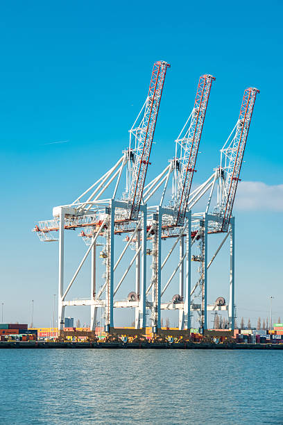 istock Large industrial cranes at southampton port 2227239391