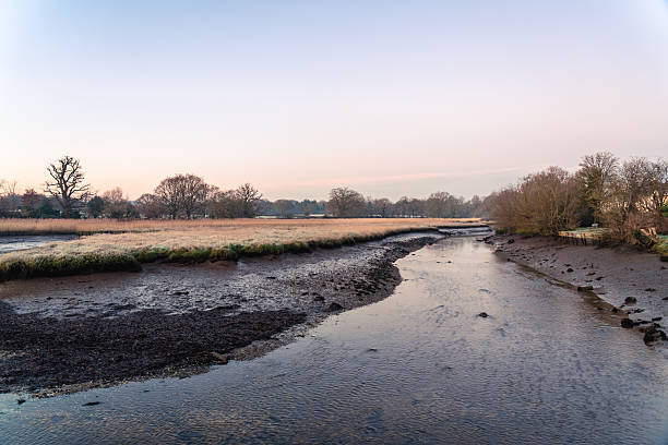 Tranquil river scene at sunrise with gentle reflections and lush greenery in southampton, england