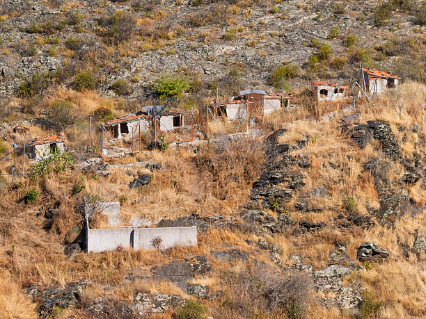 Old kennels used as dogs