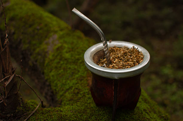 istock Porongo mate with yerba mate on a green tree trunk 2227242908