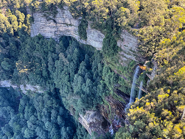istock A waterfall cascades down a cliff face in a lush forest. 2227244017