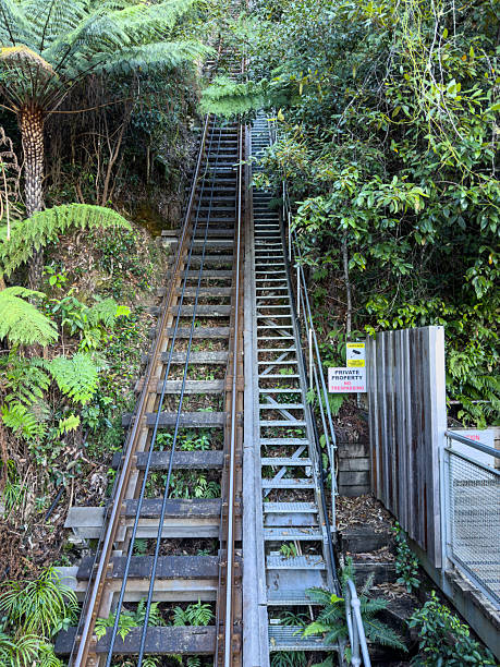 istock Steep funicular railway track and stairs climb through lush foliage. 2227244630