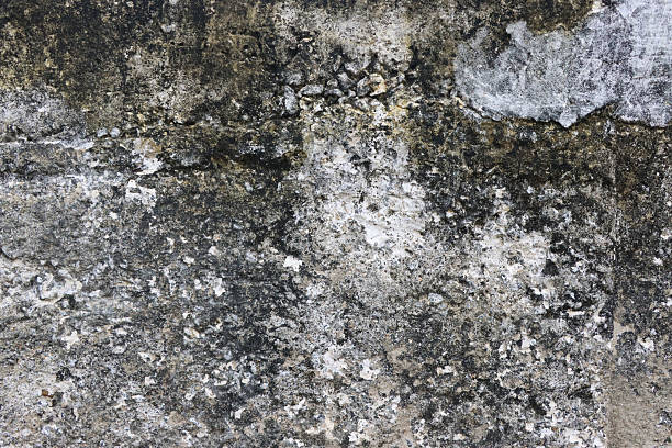 istock Weathered concrete wall with mold and discoloration. 2227250042