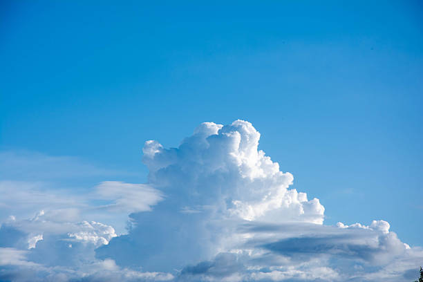 Beautiful white cumulus clouds forming against a vibrant blue sky on a clear summer day