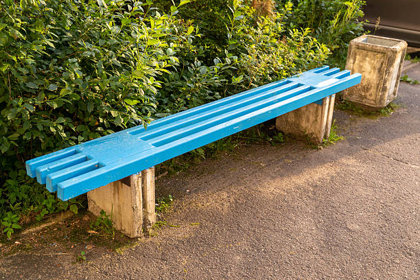 Long, bright blue bench offers a place to relax amidst lush greenery, promoting tranquility and a moment of respite