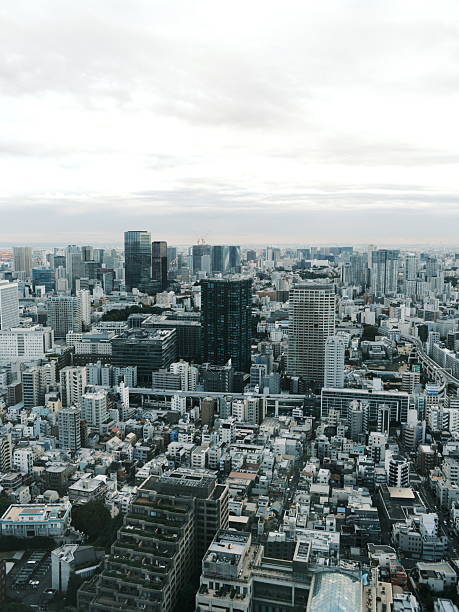 Aerial perspective looks south across packed office towers, residential blocks and distant Tokyo Bay beneath soft morning cloud. Ideal for megacity growth, real‑estate trends and urban planning visuals.