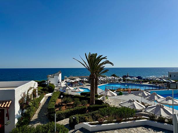 istock Resort pool area with palm tree and sea view 2227256537