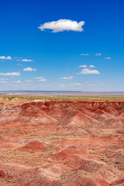 Overlooking the beautiful landscape of Petrified Forest National Park with many different colors exposed from erosion.