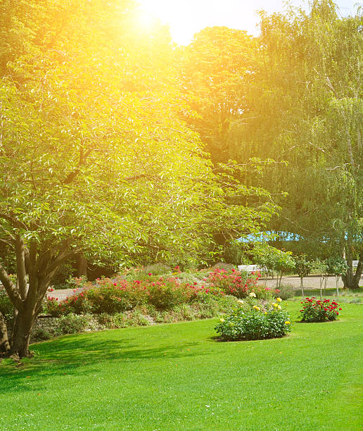 istock Beautiful garden with a flowerbed and bright sunset. 2227258895