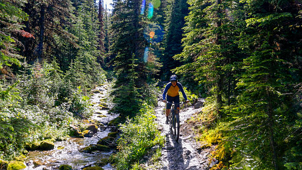 istock Mature man e-bikes beside stream in forest 2227263543