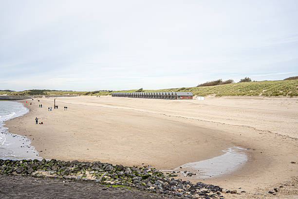 istock Dune and beach landscape in Zeeland under a clear sky 2227266323