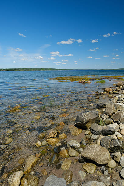 istock Low-tide at the Sandy Point Beach in Nova Scotia on Canada's Atlantic Province 2227270454