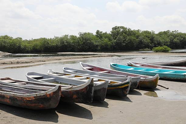 istock Canoeing in the mangroves 2227271282