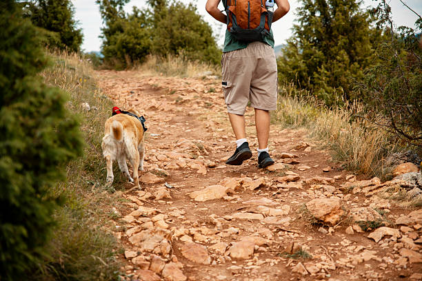 Unrecognizable Man with a dog companion on hiking in wilderness