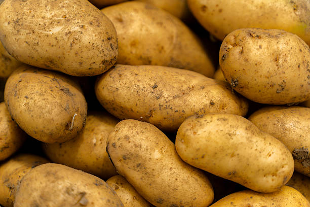 istock Fresh Unpeeled Potatoes Close-Up 2227280930