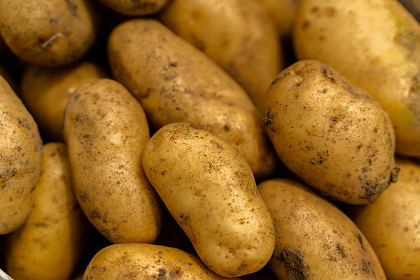 istock Freshly Harvested Potatoes 2227280957