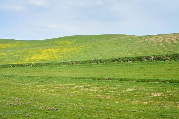istock Serene landscape of rolling green hills. 2227281793