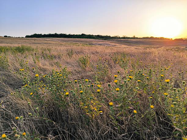 istock Dry grasses on the hills. 2227282315