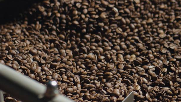 istock Roasted coffee beans cooling down in a large industrial roaster machine 2227286103