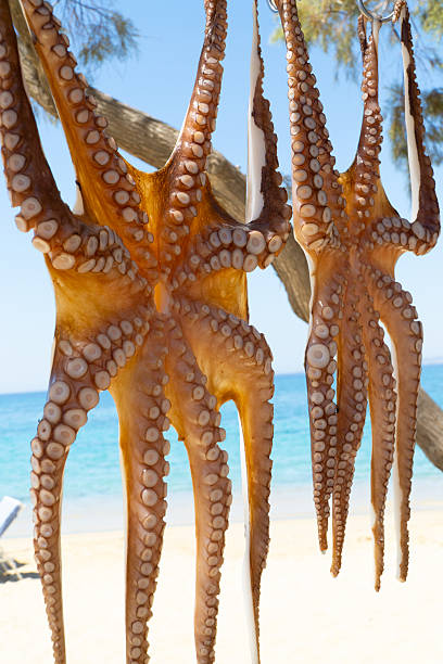 Fresh Octopus hang to dry at Plaka, Ana Agia beach on the island of Naxos Greece in the Cyclades island chain, Mediterranean .