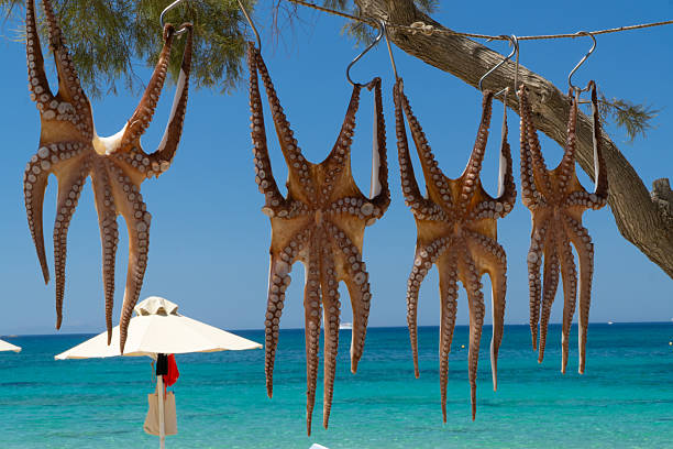 Octopuses hanged for drying in the Greek island of Lesbos landscape