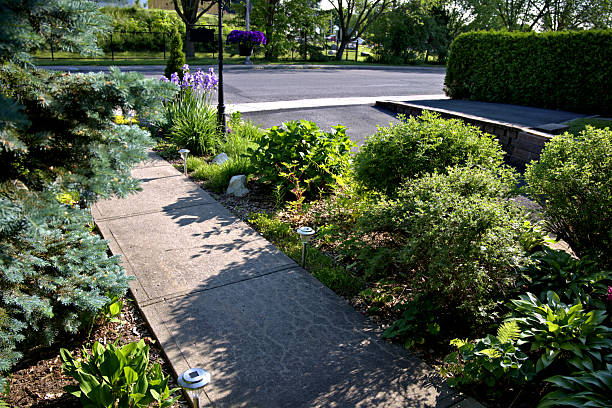 istock Perennial Planting 2227295668