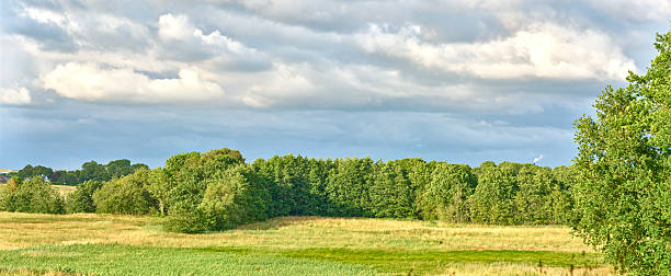 Discover the tranquil beauty of a Danish meadow framed by trees, cloudy skies above, and lush grasses below. A picturesque scene capturing natural wonder and peaceful outdoor splendor.