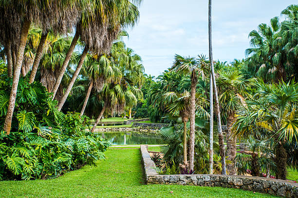 istock Exploring a tropical botanical garden with Palm trees and reflection on water. 2227301287