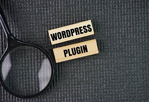 istock Magnifying glass with words Wordpress plugin. piece of software that can be installed on a WordPress website to extend its functionality or add new features 2227305454